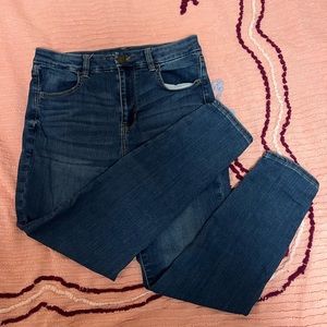 American Eagle Curvy Hi-Rise Jegging